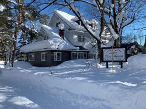 Lodge Blue Mount Hakuba Hakuba